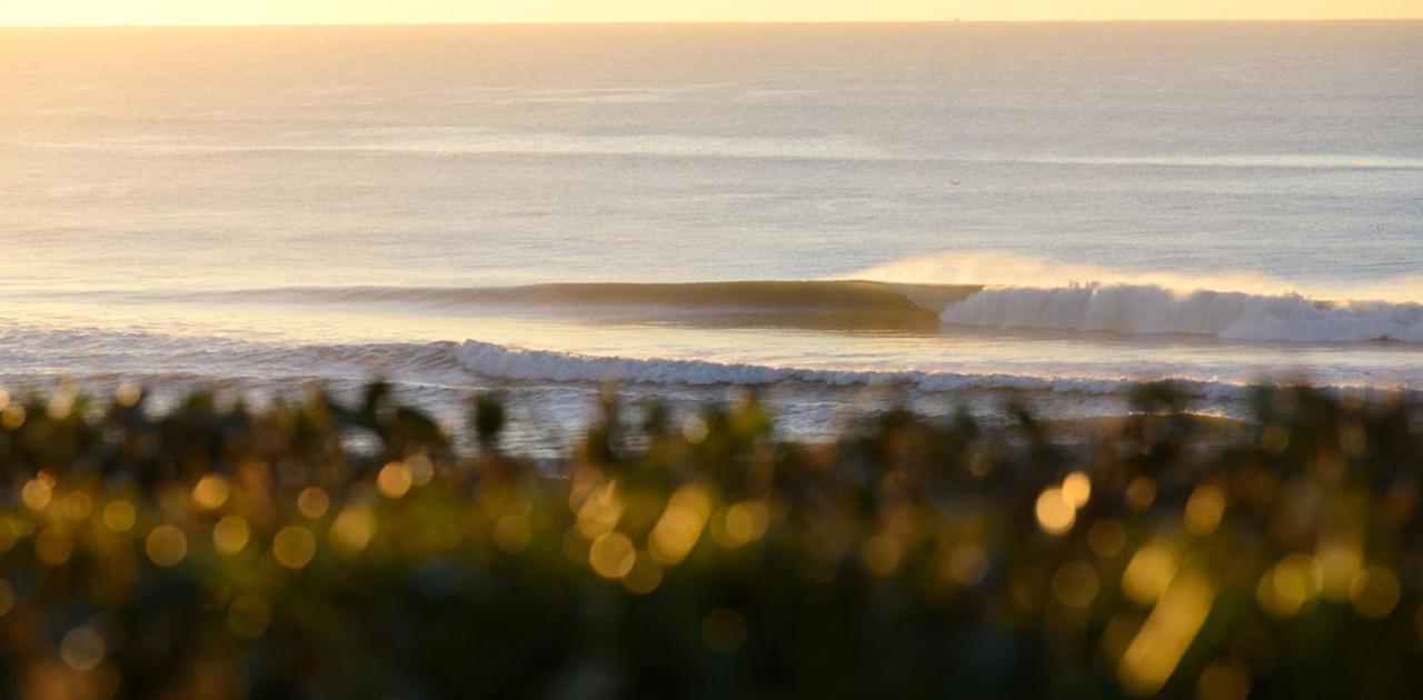 Hotel The Spot Surfcamp Biscarrosse Zewnętrze zdjęcie